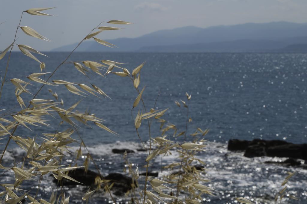 Apart Otel Andromeda &