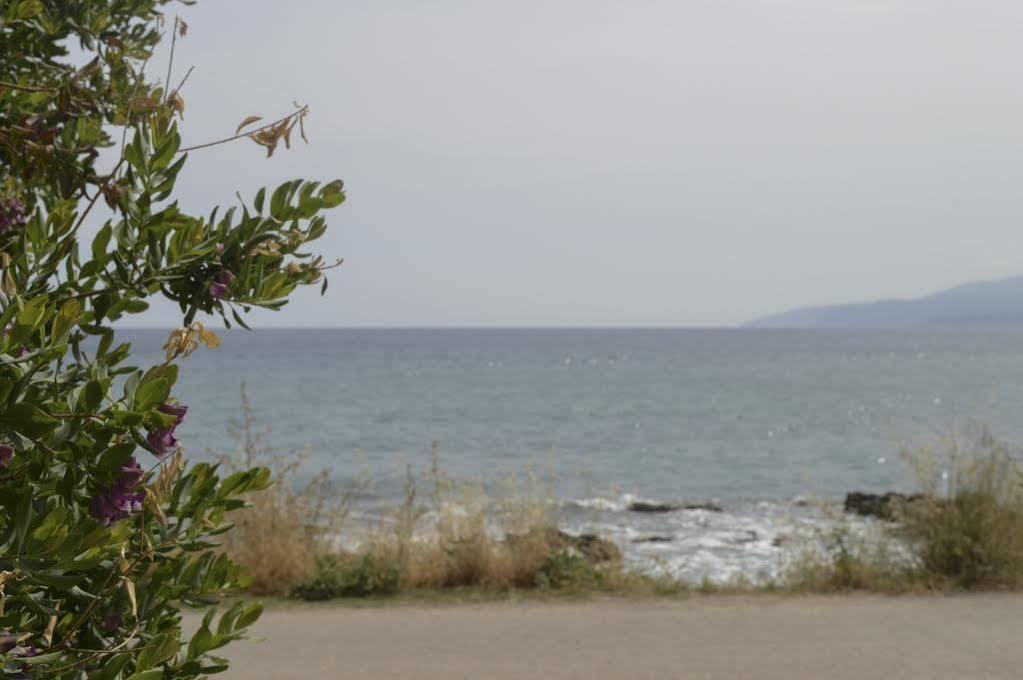 Andromeda & 3* Hersonissos (Crete)